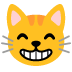 :smile_cat: