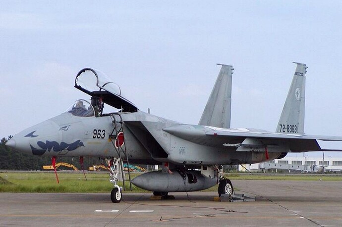 303SQ F-15J special marking Nose