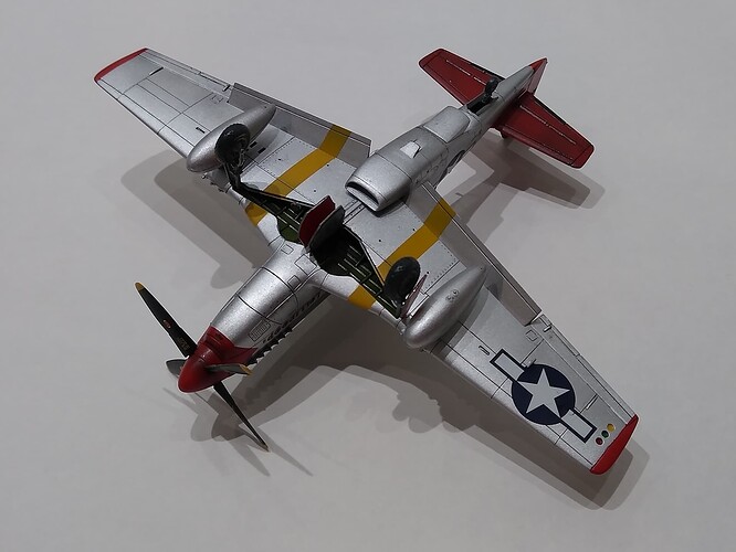A01004 P-51D Mustang 2022-01-27 07