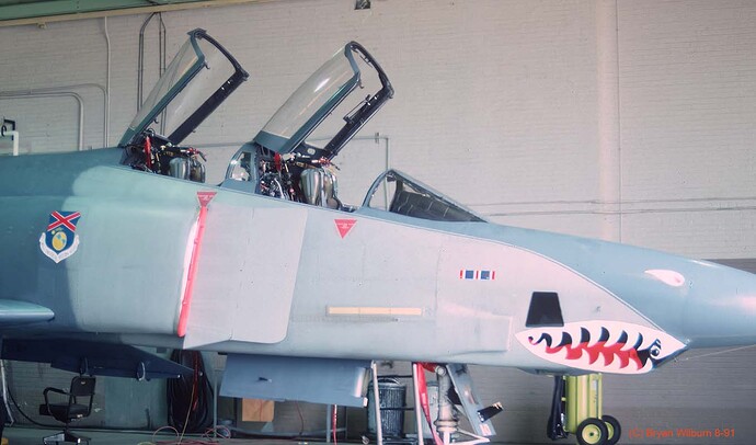 RF-4C_65-0843_LP_117TRW_Birmingham_Aug_1991__Cr__Sm