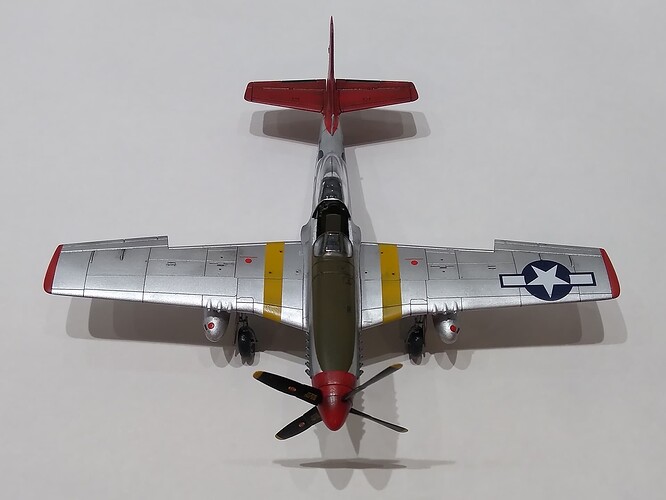 A01004 P-51D Mustang 2022-01-27 06