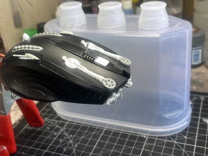 Mouse60a