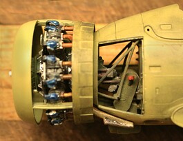 IMG_9006