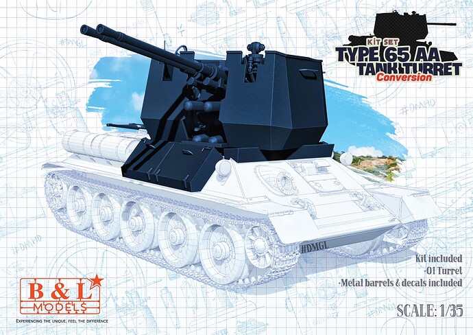 Type 65 AA
