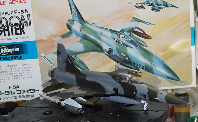 Hasegawa F-5A Finished front small