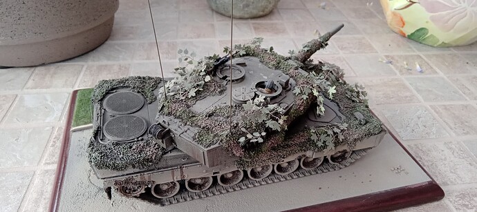 Leopard 2 - NL (5)