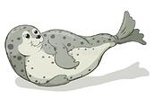 spotted-seal-vector-image-cartoon-hand-drawn-illustration-114847571