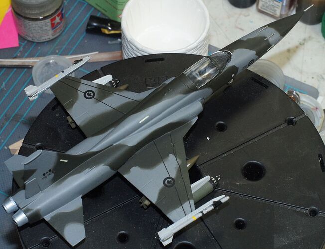 Hasegawa F-5A finished top Small