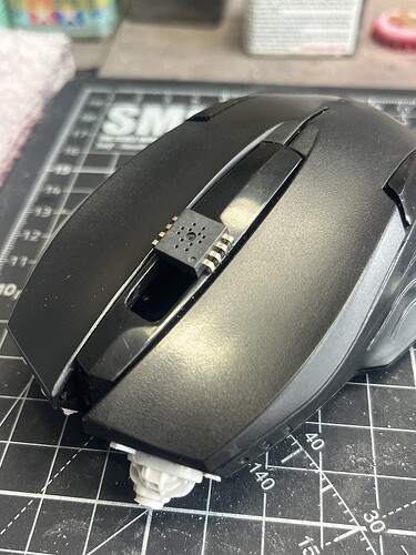 Mouse29a