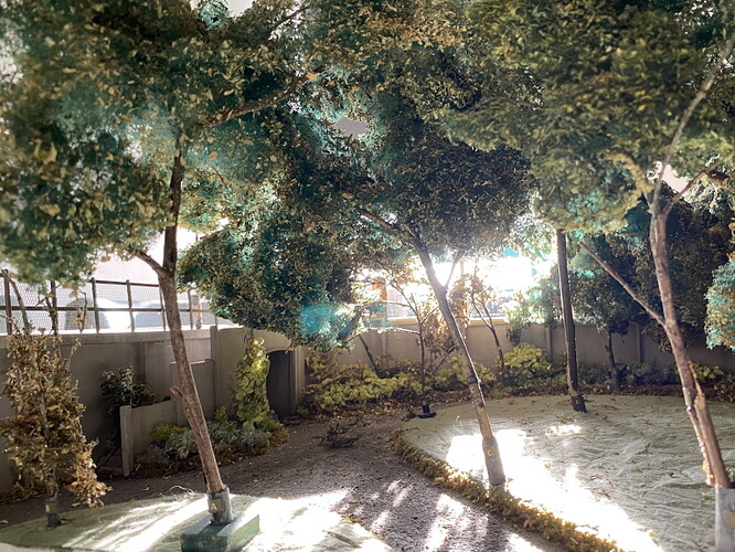 IMG-0360