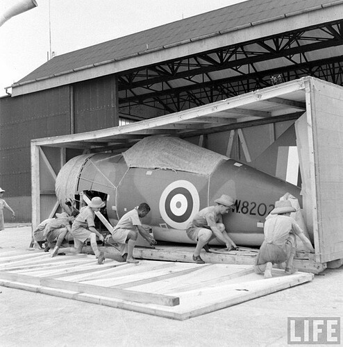 Brewster_F2A_Buffalo_Serial_Number_W8202_RAAF_453_Squadron_001-me