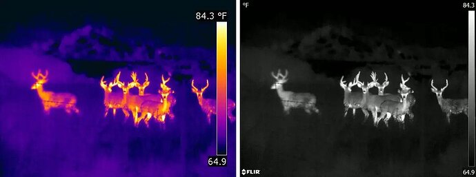Thermal-Imaging-Camera-Deer