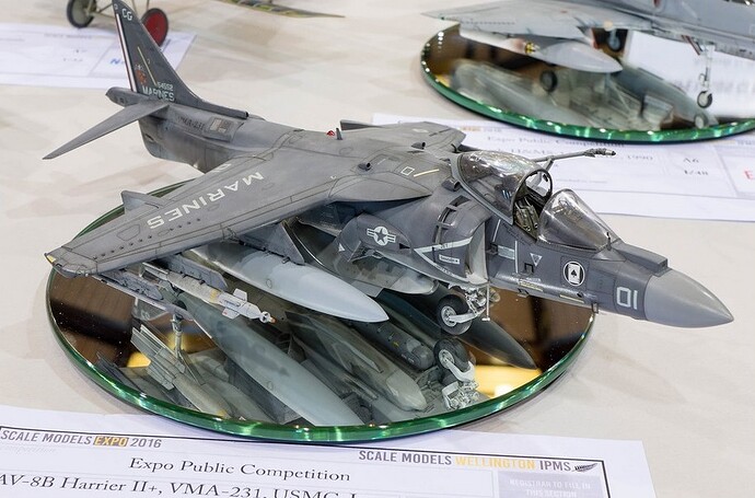 Harrier II - ACE 231 Craig Sargent1++