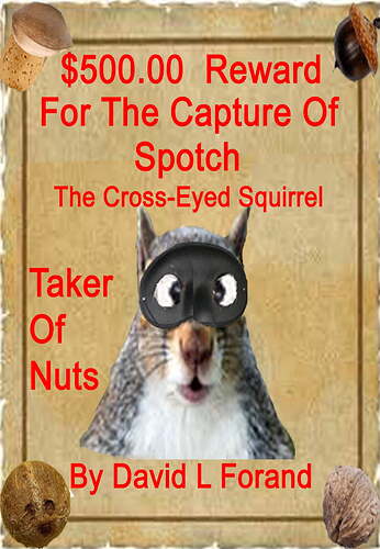 spotch-the-cross-eyed-squirrel-in-taker-of-nuts