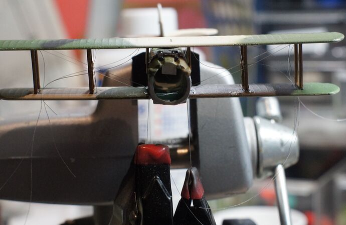 SPAD Inner lines in place small