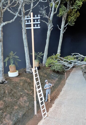 Telegraph pole unpainted