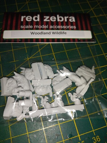 IMG_20240611_173100937