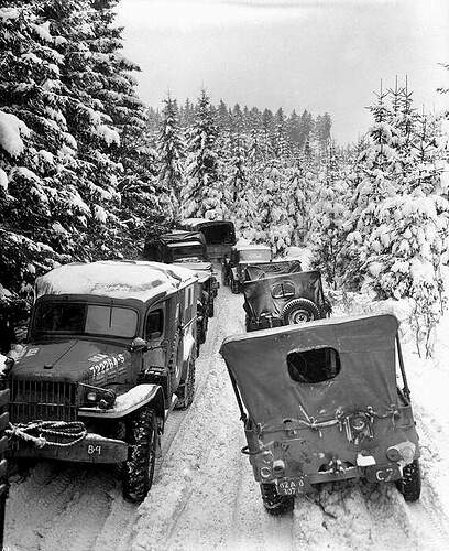 Jeeps & vehicles passing on forrest road (snow)