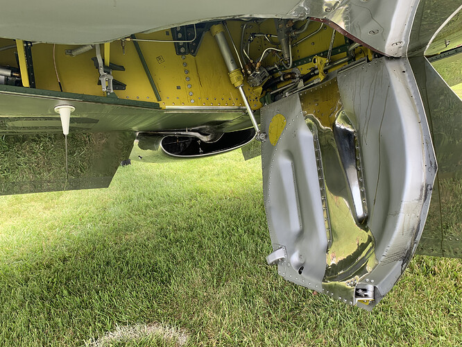 Mustang gear bay5.HEIC