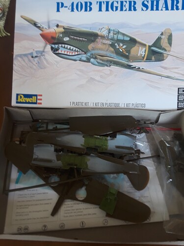 17178580809561676860901484263005