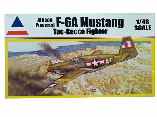 F-6A Mustang AMC kit