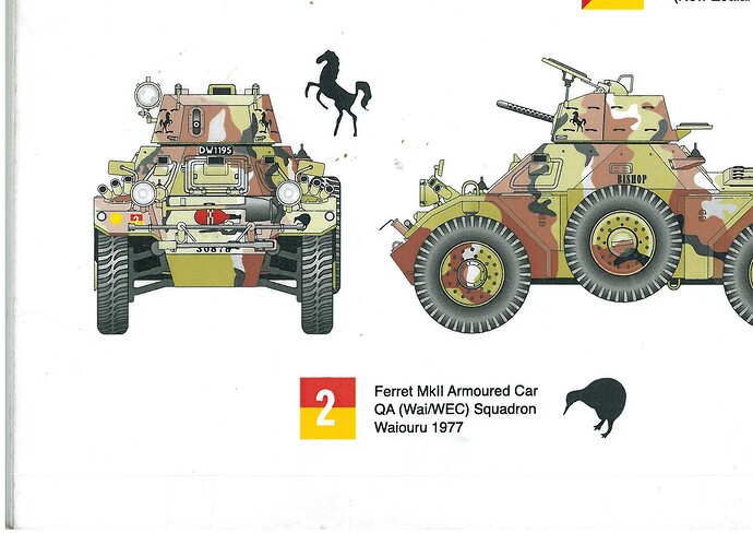 Ferret Front - RNZAC Cam Schemes