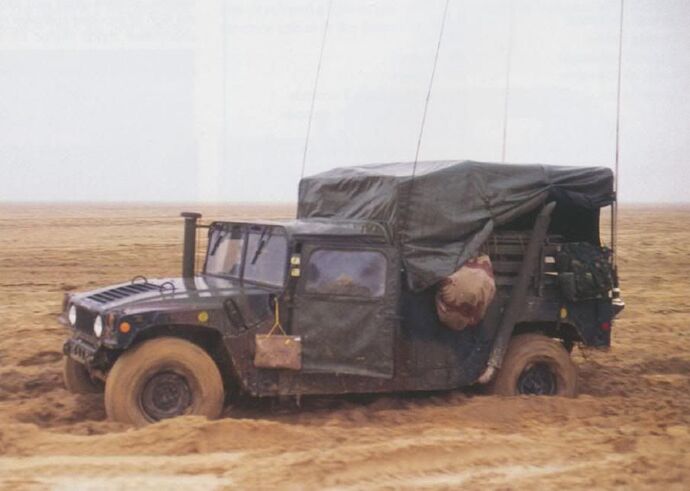 PustynnaBurza110