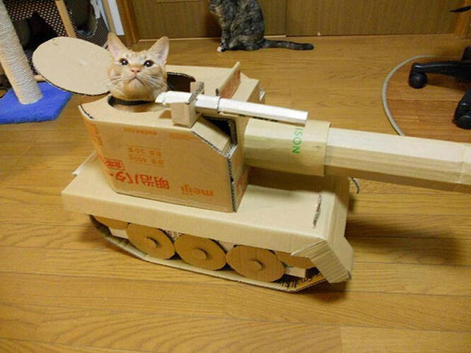Cat-With-War-Tank-Funny-Picture