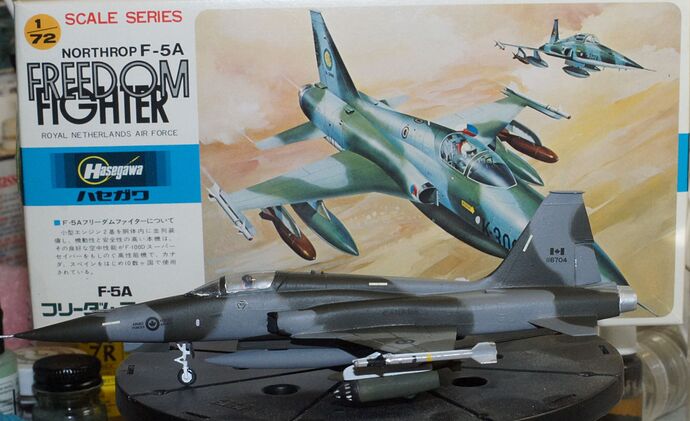 Hasegawa F-5A Finished Port small