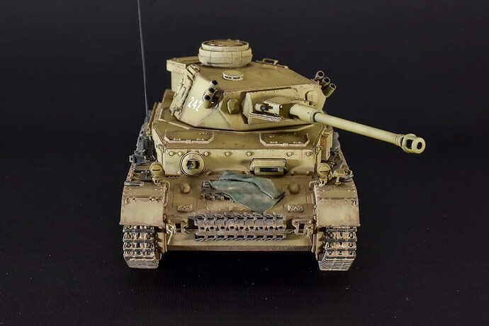 Panzer IV G Border Model_04
