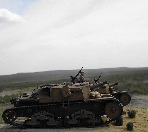z Semoventi 75 18 - 132 Division Ariete (9)
