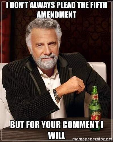 i-dont-always-plead-the-fifth-amendment-but-for-your-comment-i-will