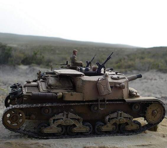 z Semoventi 75 18 - 132 Division Ariete (8)