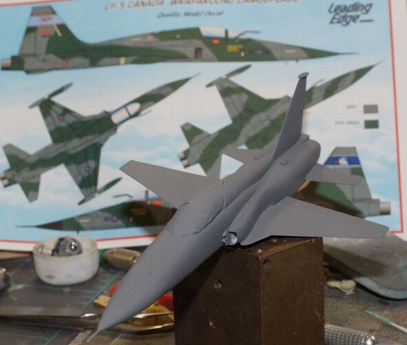 Hasegawa F-5A Gray coat small