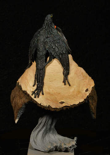 Blackfoot_08