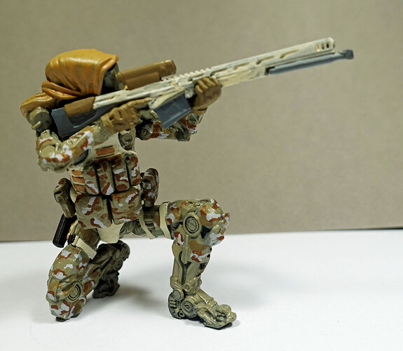 Camo1