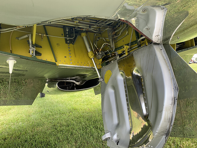 Mustang gear bay6.HEIC