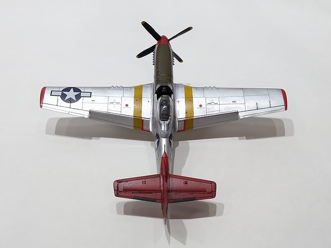 A01004 P-51D Mustang 2022-01-27 05