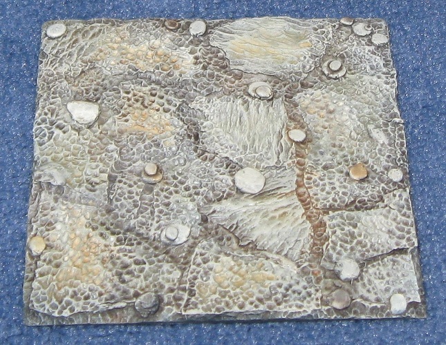 Terrain 006 20260723