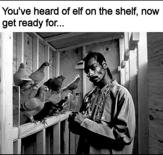 493240564_9846766945379894_6379253923654445158_n