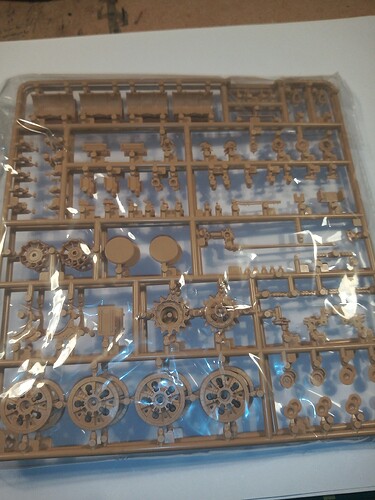 IMG_20251004_184436306