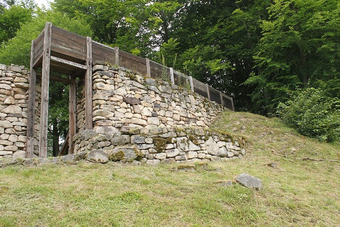 Heunischenburg Gehülz 2.8.2012 003