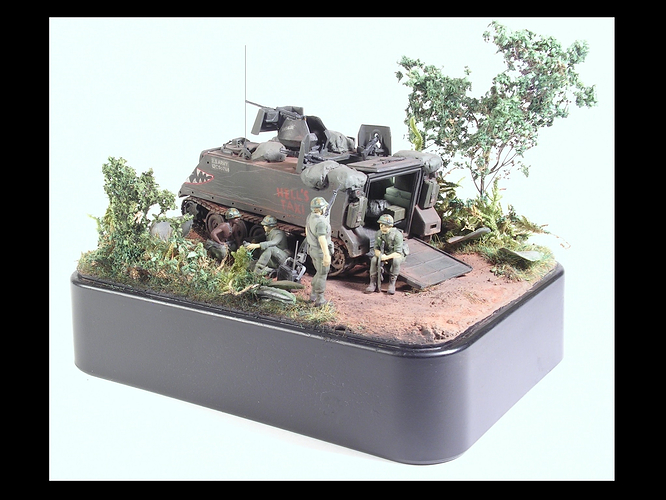 M113 ACAV (Vietnam)