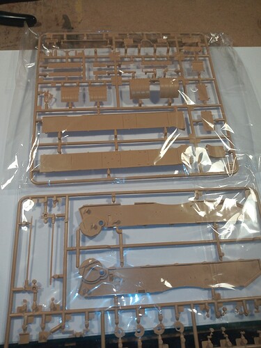 IMG_20251004_184414392