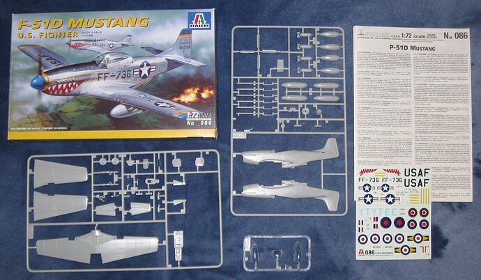 P 51D Mustang 2024_1207