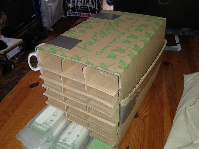 Evergreen-box-1