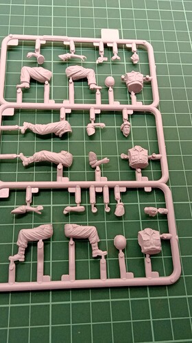 Carrier Figs (3)
