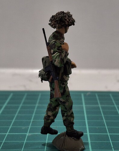Sentry (26)