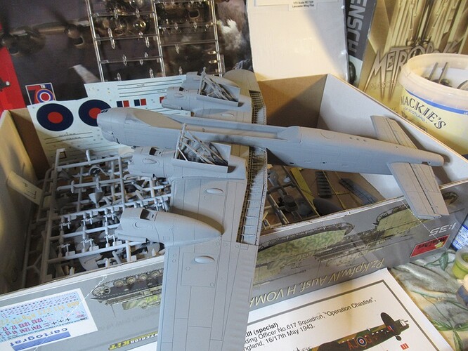 underside grey