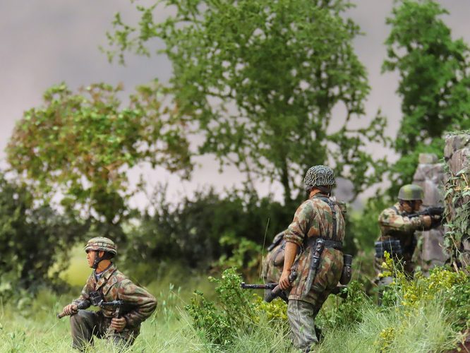 IMG1065